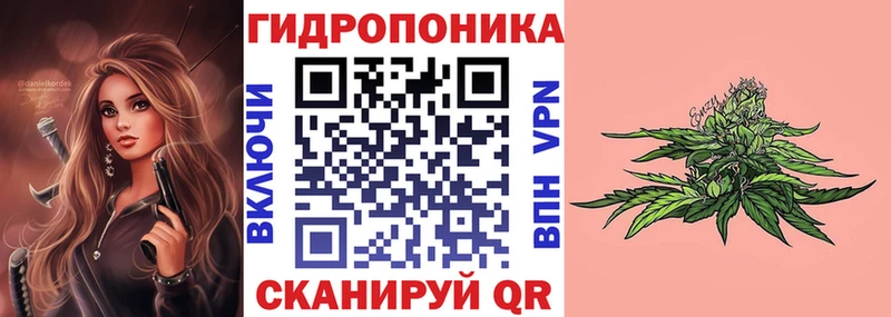 Конопля планчик  Шумерля 